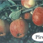 Piros