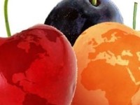 International Stone Fruit Conference 2016